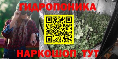 гашик Ливны