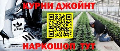 гашик Ливны