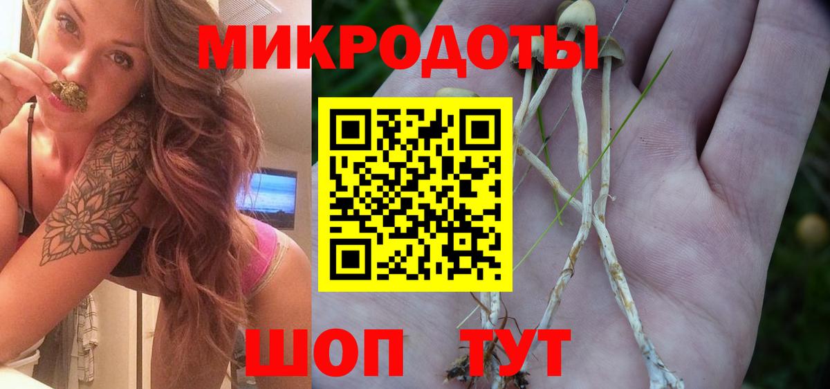 Юрга  продажа наркотиков  Вход с VPN  Псилоцибиновые грибы Psilocybine cubensis 