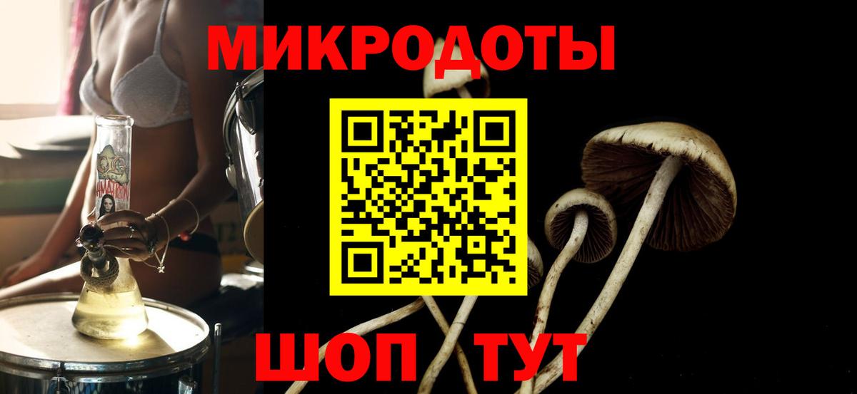 Псилоцибиновые грибы Psilocybe Юрга